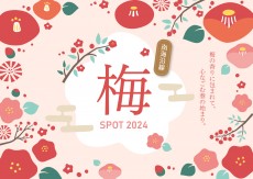 梅スポット特集