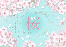 南海沿線 桜スポット 2024