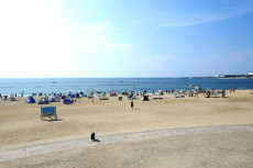 nishikinohama-beach