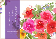 見頃の花たちを目当てにでかけよう！