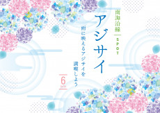 雨に映えるアジサイを満喫しよう!