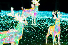 ハーベストの丘のイルミネーション