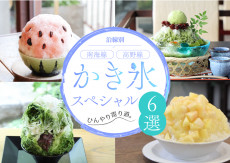 【大阪・和歌山】ひんやり寄り道。南海沿線かき氷スペシャル6選！