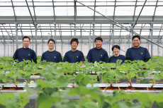 泉南エリアに誕生！いちご収穫体験が楽しめる体験型農園「Refarm YOSHIMI 370」がオープン