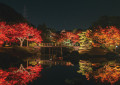 大仙公園日本庭園 秋季夜間特別開園　～紅葉の灯り～