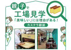 【親子で工場見学】「美味しい」には理由がある！カステラ銀装
