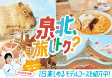 泉北、旅しトク?