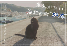 【加太 観光】「写ルンです」を片手に楽しむ“忘れがたい海辺の町”