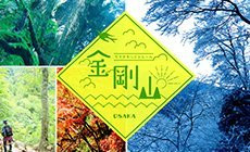 ダイヤモンドトレール　金剛山