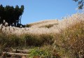 【中古】 岩湧山・紀泉高原 登山とハイキングコース徹底案内/岳洋社/上□手健義 中古】 岩湧山・紀泉高原 登山とハイキングコース徹底案内/岳洋