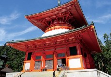 高野山町石道コース(上級)