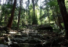 高野山黒河道コース(上級)
