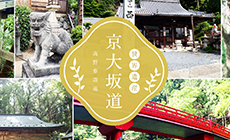 ハイキングコースの魅力をもっと知る