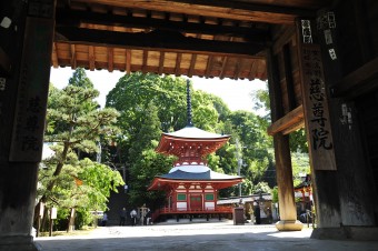 山歩き好き必見！“ふもと”から楽しむ高野山エリア1泊2日モデルコース