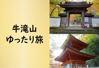 牛滝山ゆったり旅