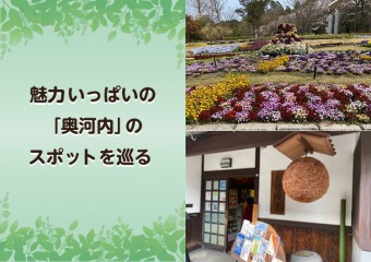 魅力いっぱいの「奥河内」のスポットを巡る