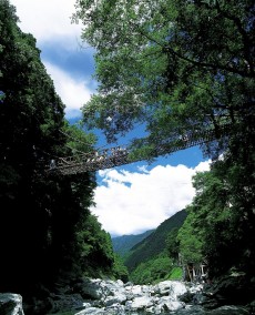 祖谷のかずら橋
