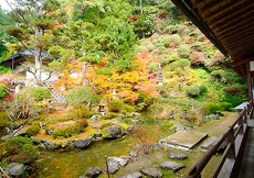 遍照光院（へんじょうこういん）