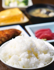 銀シャリ屋 ゲコ亭