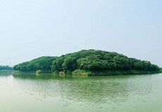 ニサンザイ古墳