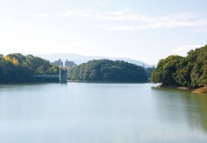 寺ヶ池公園