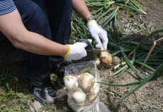 くろまろファーム