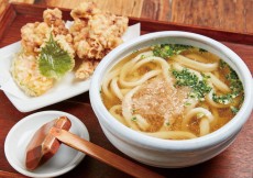 僕とうどんとカツオだし