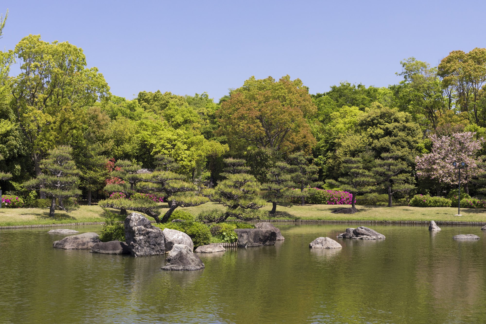 大仙公園内の日本庭園にある池