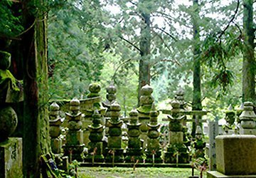 C高野_名所_参道.jpg