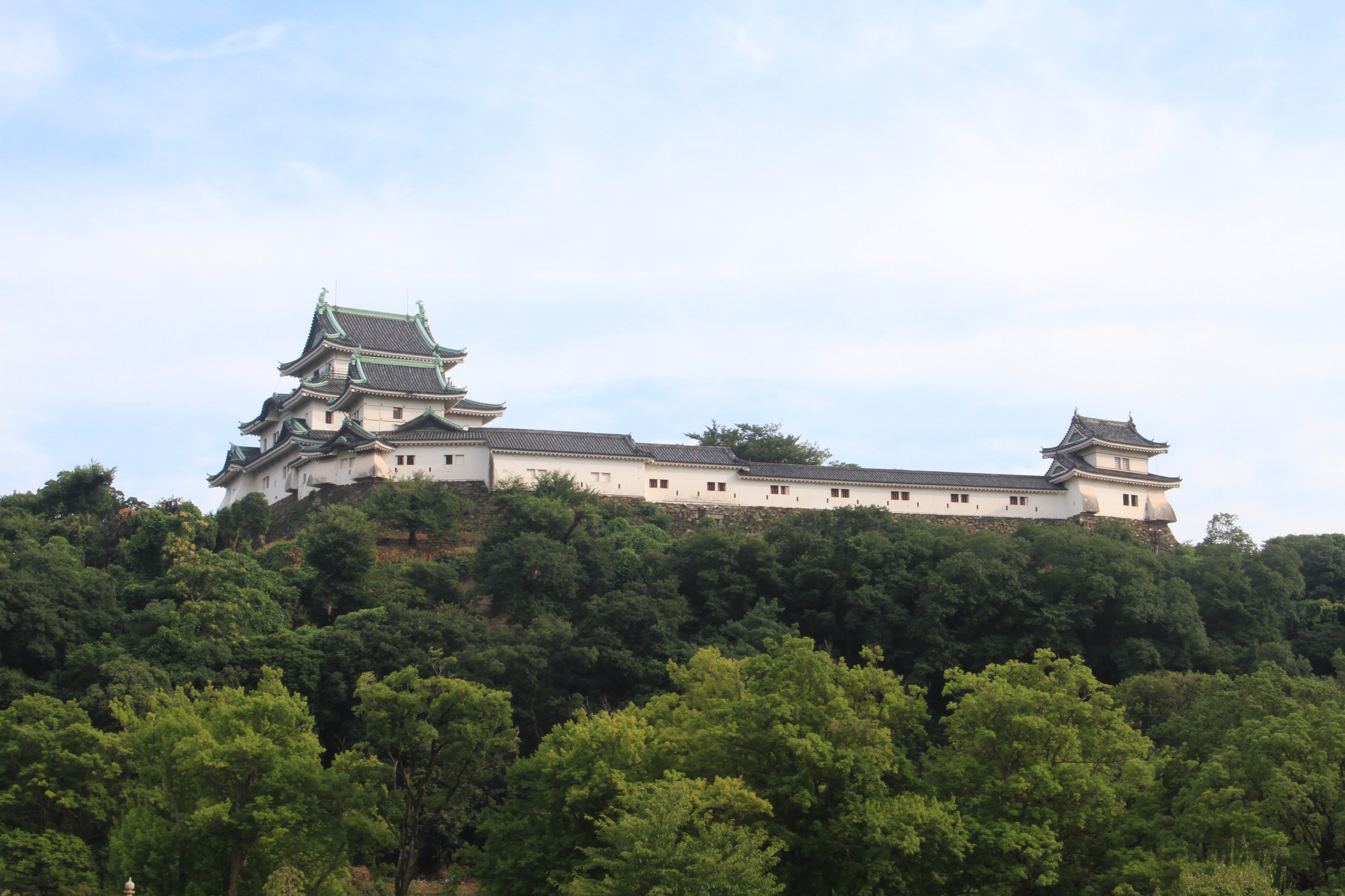 wakayama-castle_009.jpg