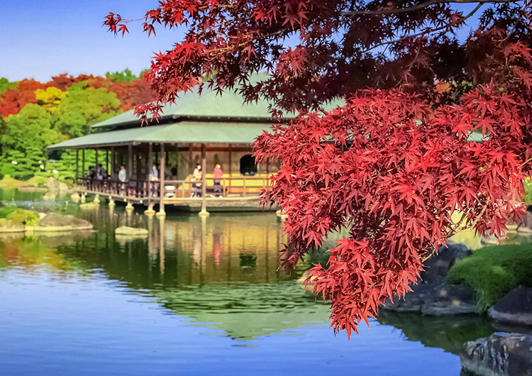 大仙公園　日本庭園
