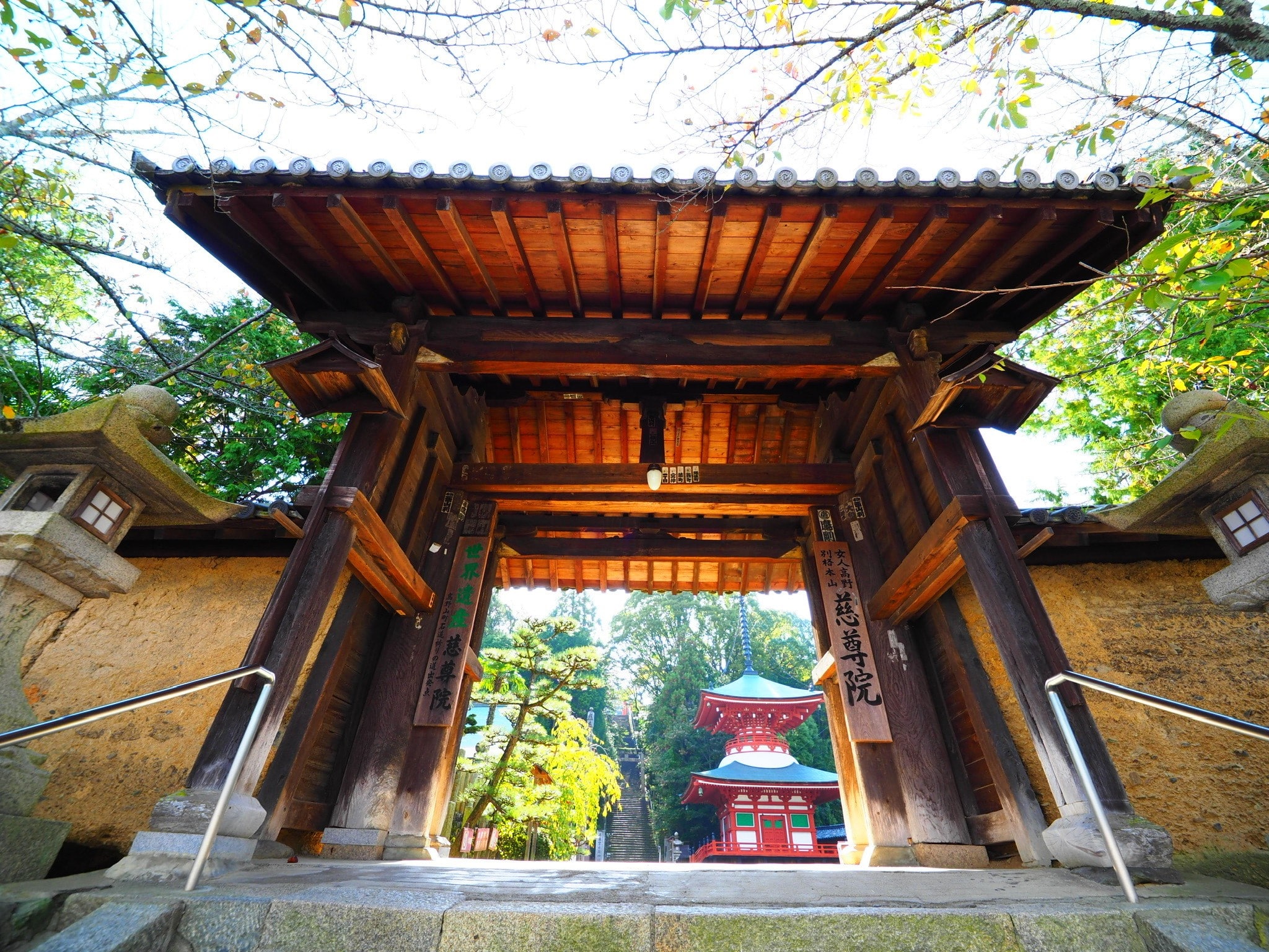 お寺と神社の違いとは？わかりやすく解説 | 大阪・和歌山のおでかけ