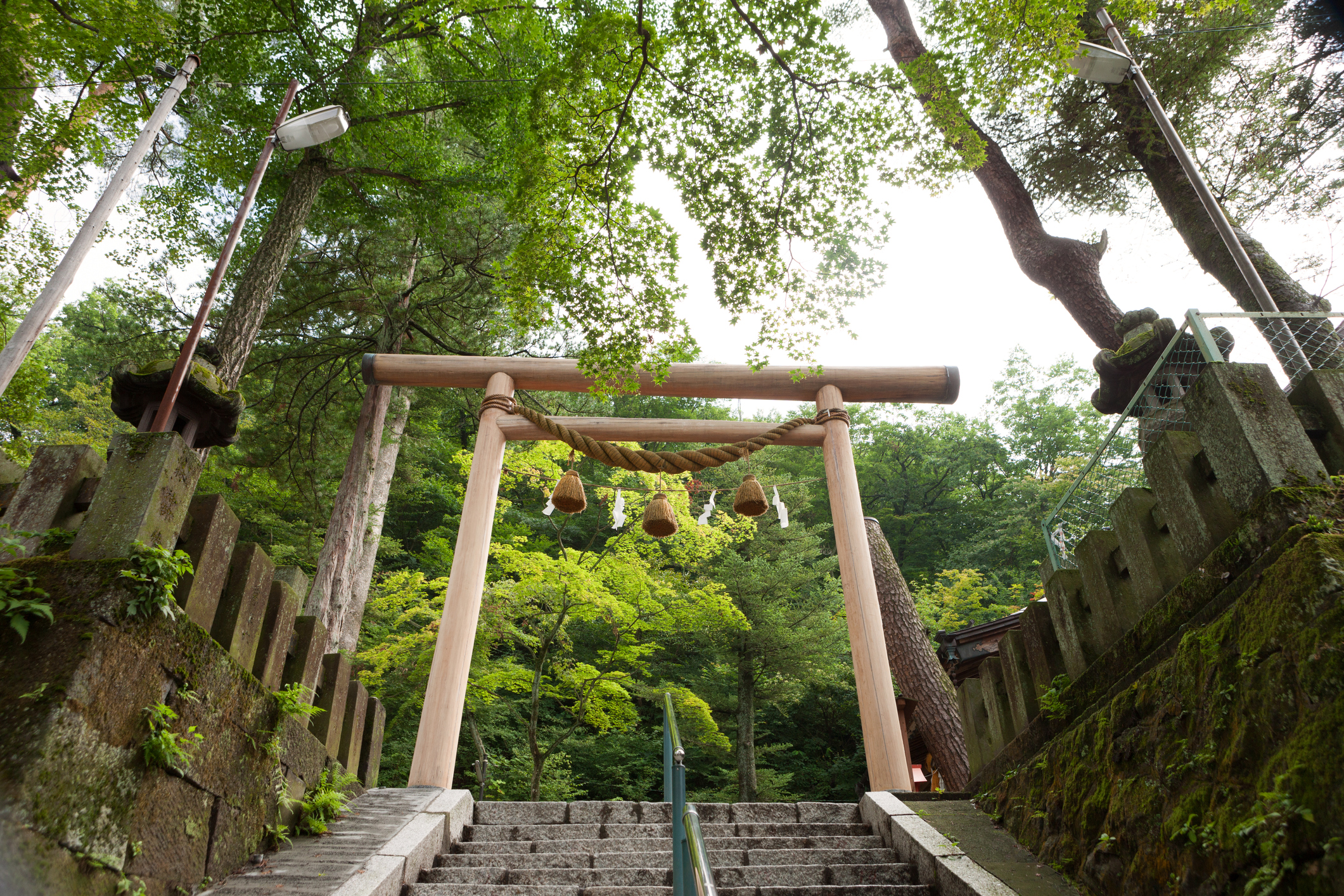 shrine-torii-gate003.jpg