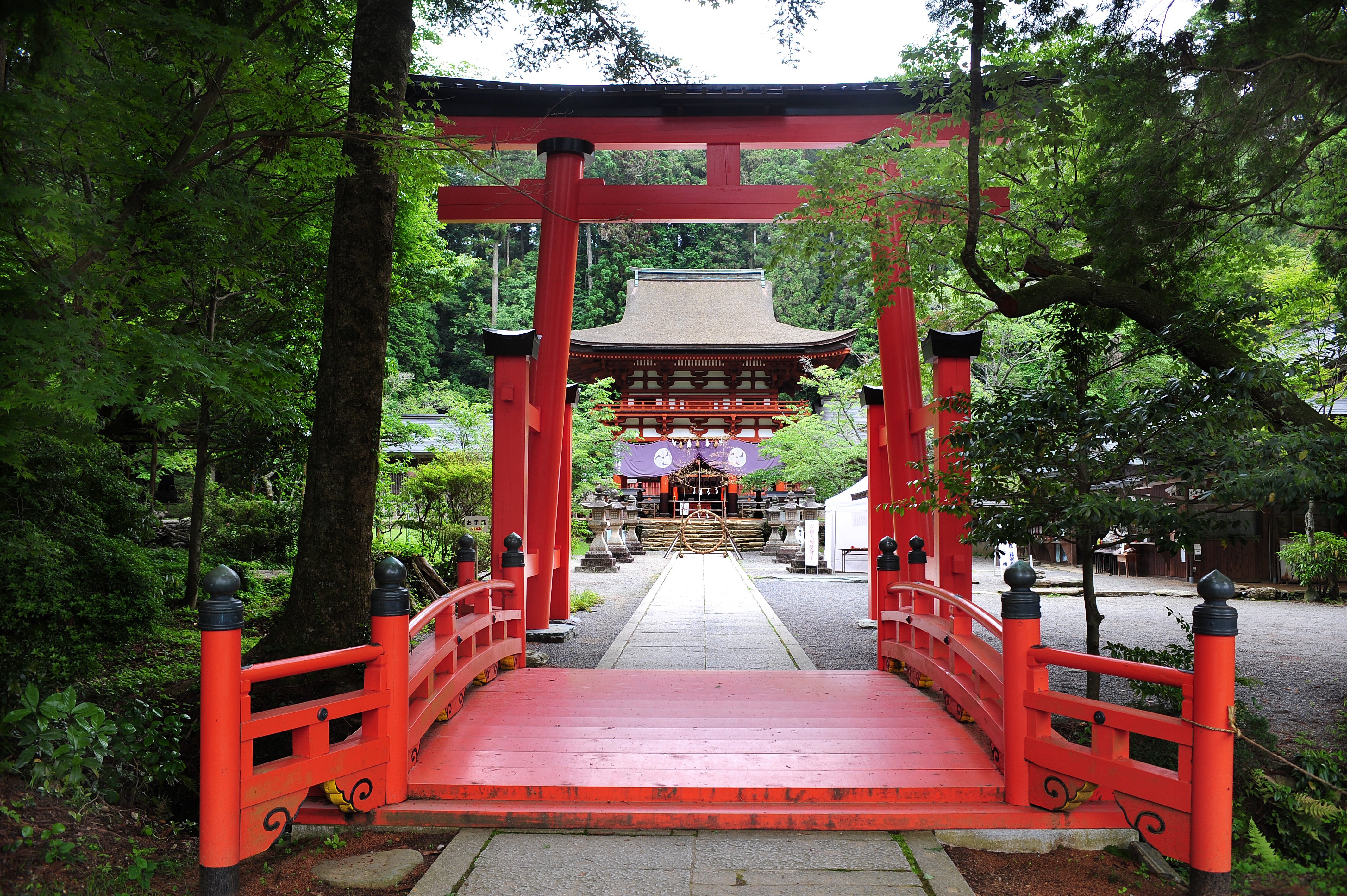 shrine-torii-gate002.jpg