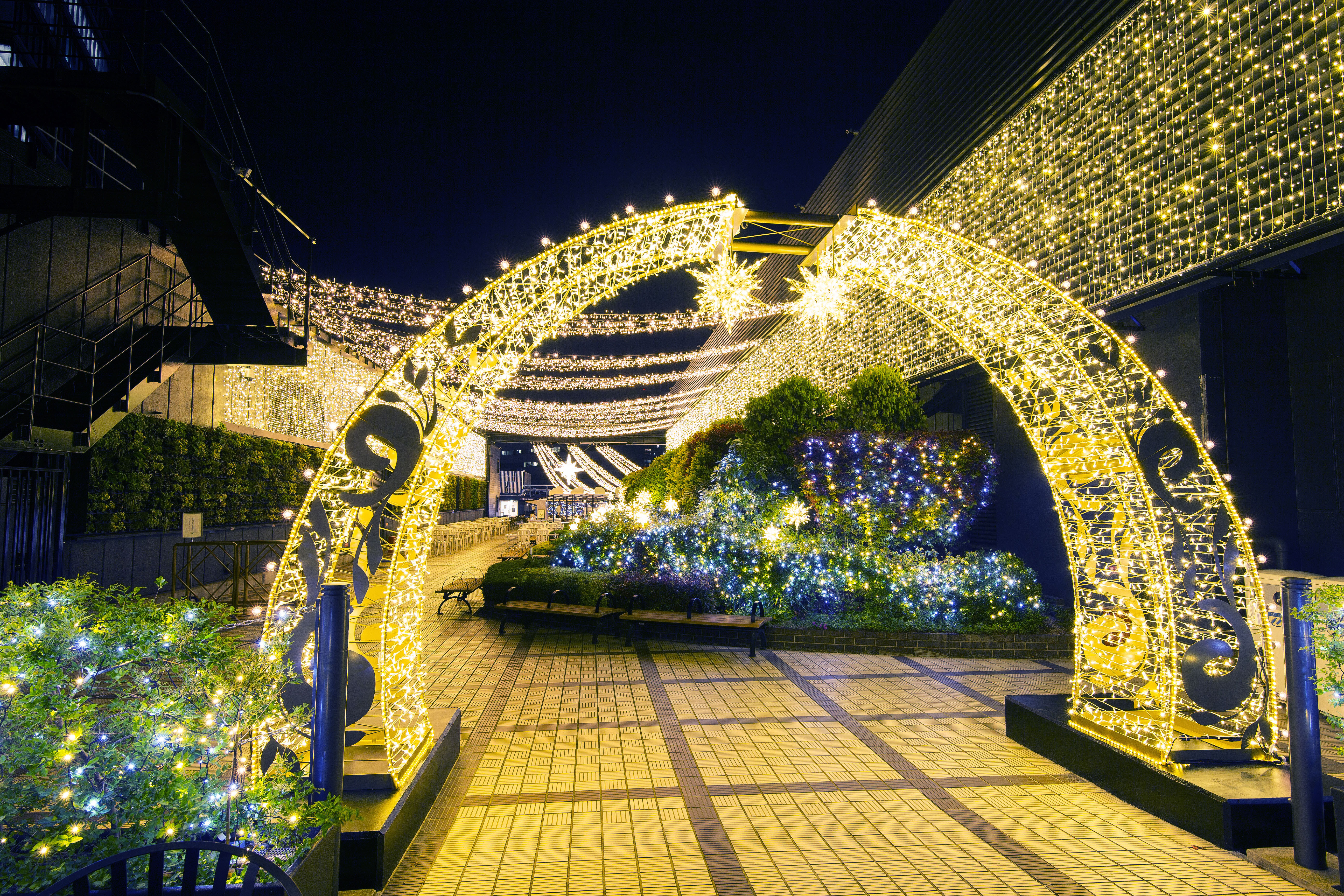 namba-illumination105.jpg