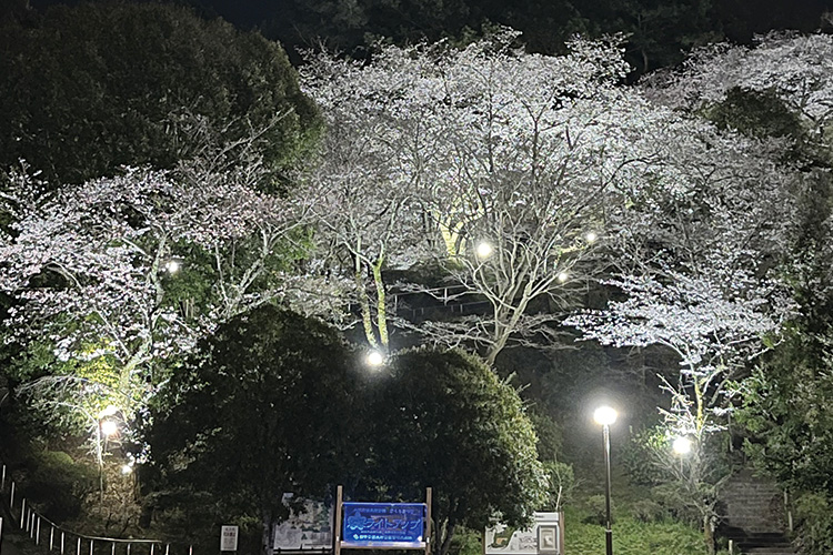 長野公園