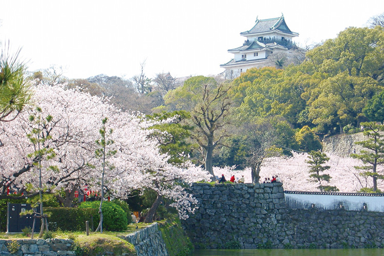 和歌山城公園