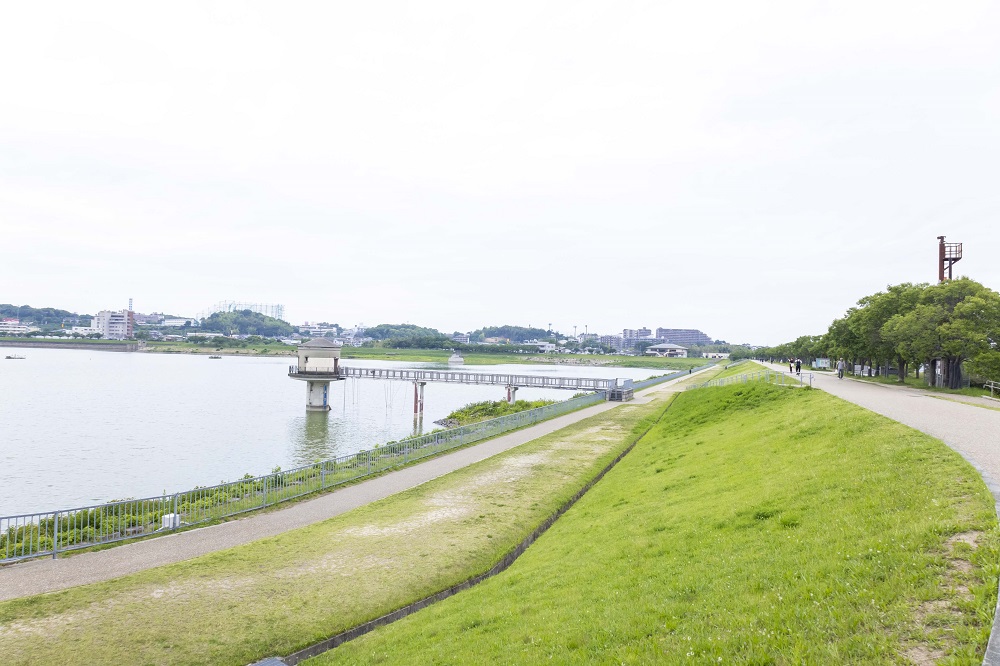 堤防上