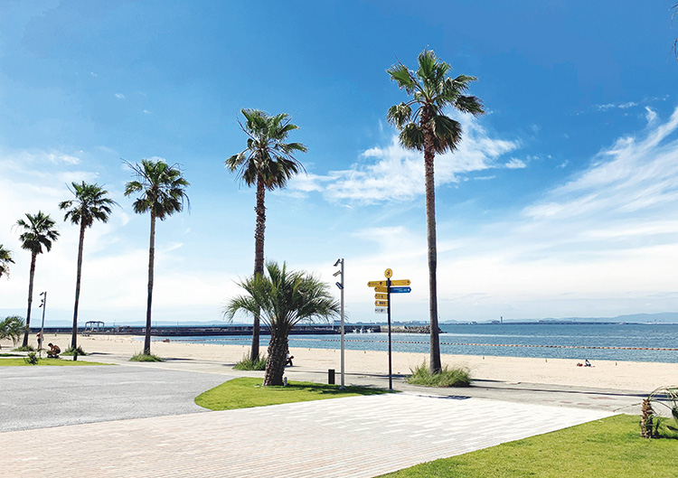 タルイサザンビーチ（りんくう南浜海水浴場）
