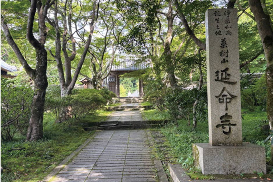 山門は秋になれば、紅葉のトンネルに色づきます。