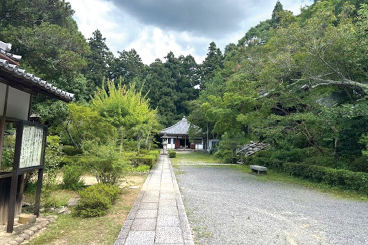 緑が美しい参道