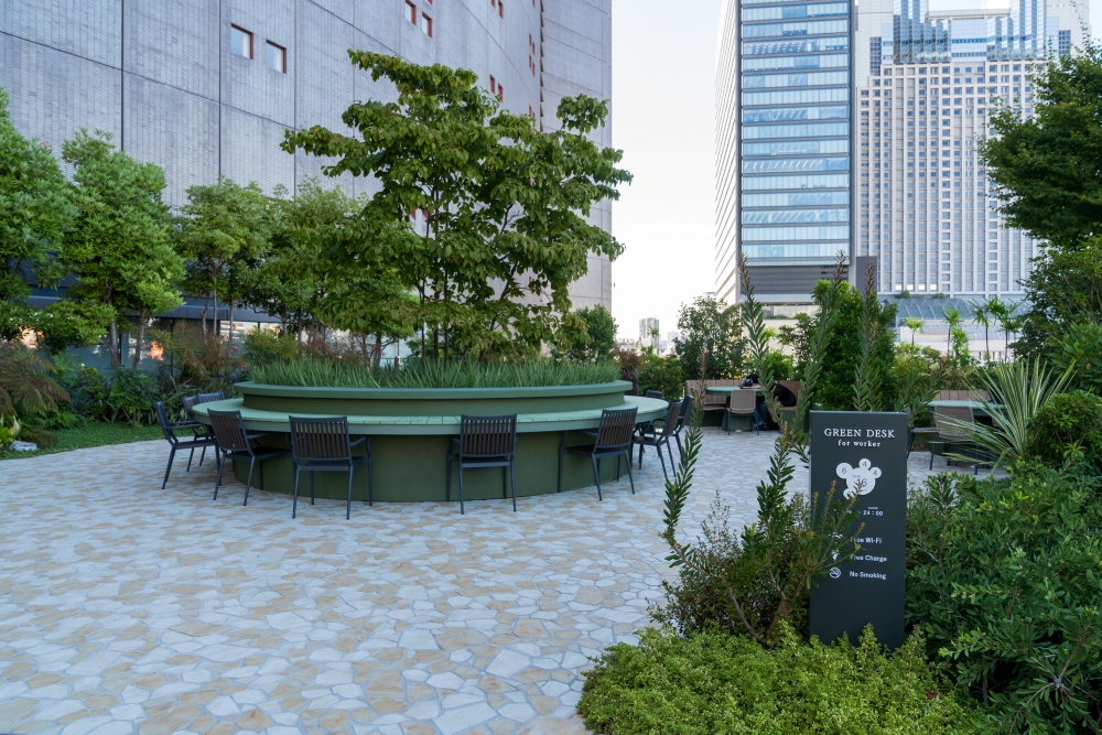 グリーンデスク