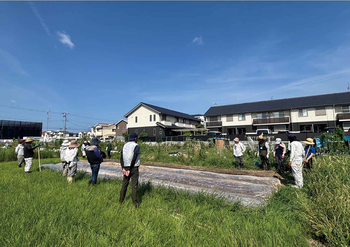 西洋ニンジンの播種（はしゅ・種まき）」の実践
