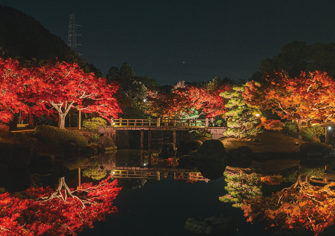秋季夜間特別開園 紅葉の灯り