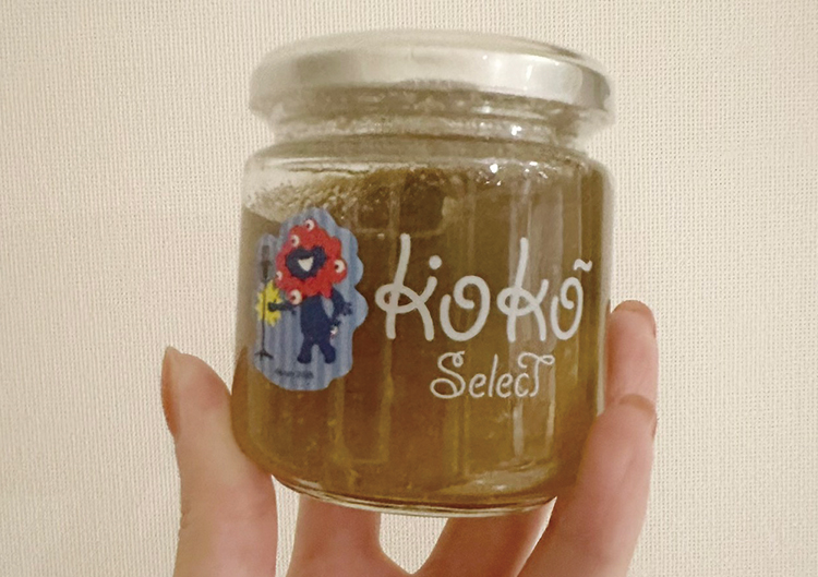 「グレーターミナミTRAIN」車内