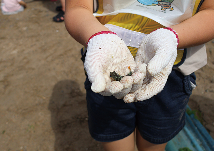 子ども達との活動