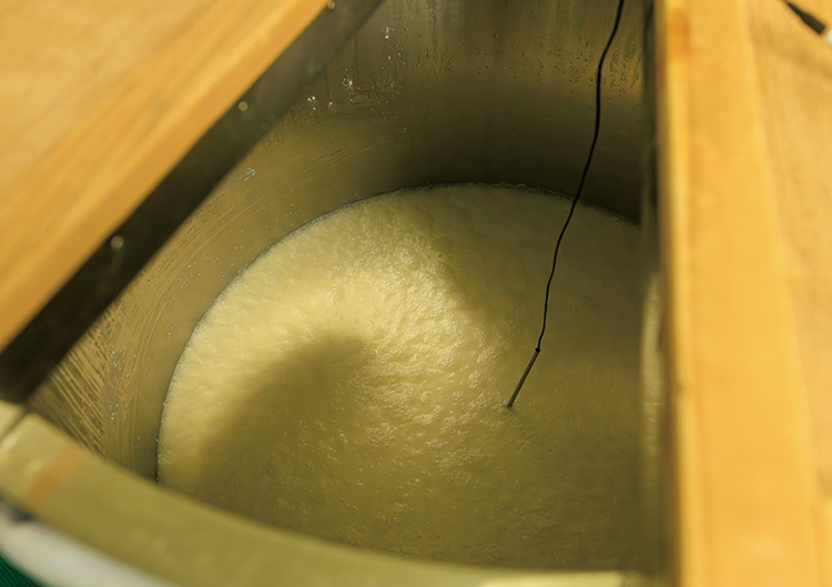 お米の浸漬（しんせき）の様子