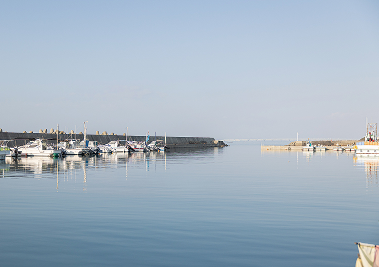 阪南市の西鳥取漁港