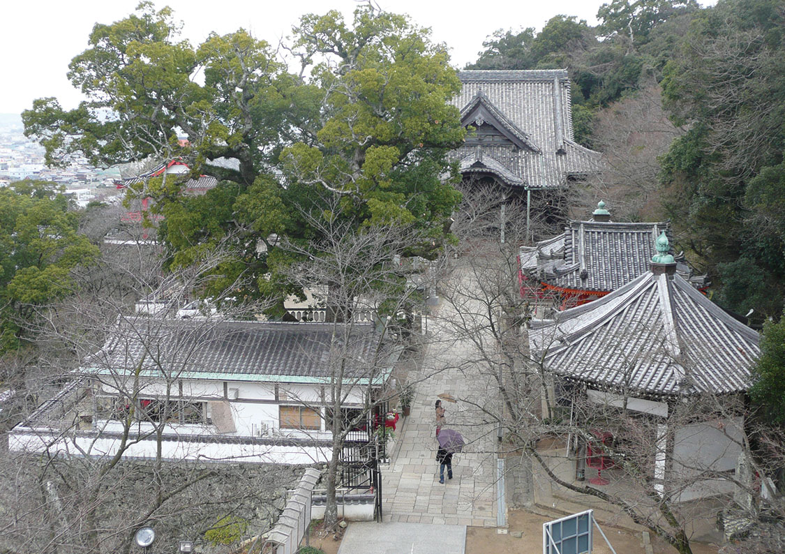 福男たちによる福付き大豆まき