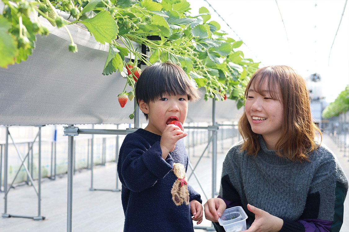 寄り道できる果実園